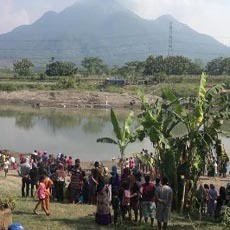Ini Jenis Buaya yang Muncul di Kali Porong, Warga Diimbau Waspada