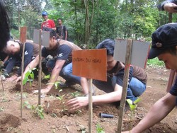 Smart Rider Tanam Pohon di Gunung Kareumbi, Bandung