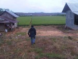 Daftar Jadi Transmigran Bisa Lewat Online Lho