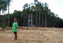 Penempatan Transmigran Bisa Dimulai Oktober 2015