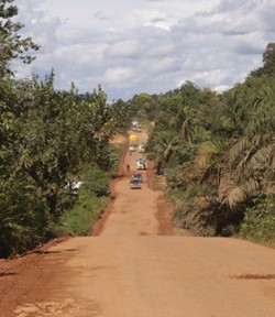 Ada Lowongan 4.000 Lebih Transmigran, Siapa Minat?