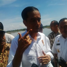 Ini Kampung Vaname, Tambak Udang Potensial di Sulawesi Barat