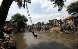 Menteri Siti: 90% Makhluk Hidup di Sungai Ciliwung Sudah Rusak