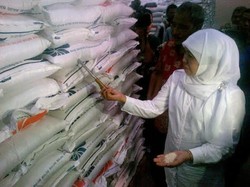 Antisipasi Kutu, Kerikil dan Jamur, Mensos Sidak Gudang Bulog di Semarang