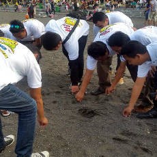 Peringati Hari Tanpa Tembakau, Warga Punguti Puntung Rokok di Pantai Boom
