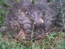 Warga Temukan Batu Berukir Diduga Bagian Bangunan Candi Seumuran Prambanan