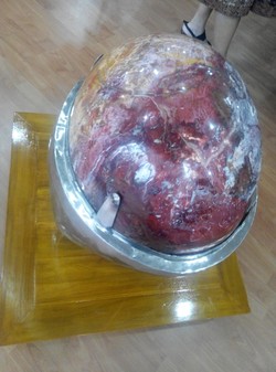 Ini Cincin Batu Akik Pancawarna Garut 70 Kg Milik Fadli Zon