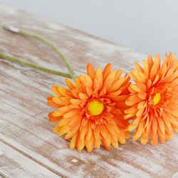 Memulai StockPhotography, Awali dari yang Sederhana