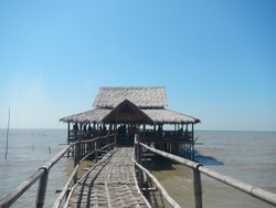 Liburan yang Segar & Seru di Surabaya, Yuk ke Hutan Mangrove!