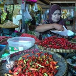 Ini Daftar Penyebab Inflasi Mei 0,50%