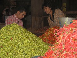 Harga Cabai Melejit, Menko Sofyan: Ini Menghantui Kita Setiap Bulan