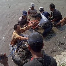 Pria ini Tewas Tersengat Listrik saat Cari Ikan di Sungai