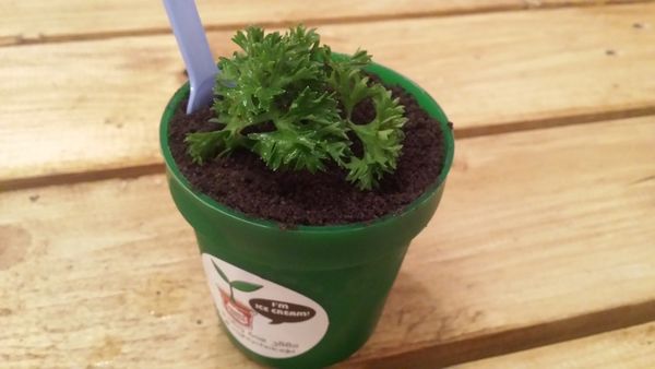 Cemilan dan Hidangan di Gourmet Week Ini Unik dan Enak!