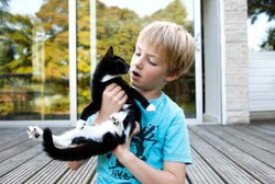 Parasit yang Dibawa Kucing Ini Bikin Anak Jadi Berotak Tumpul