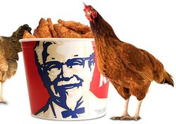 Disebut Ayamnya Bersayap 6 dan Berkaki 8, KFC Tuntut 3 Perusahaan Tiongkok