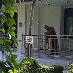 Mengintip Aktivitas Bikhu di Vihara Majapahit