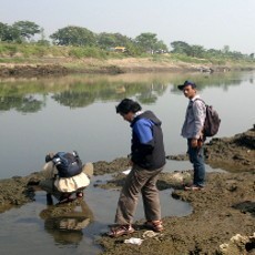 Mahasiswa Unair Teliti Fenomena Kemunculan Buaya di Kali Porong