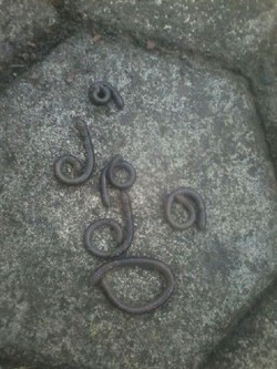 Heboh Cacing Kepanasan, Mbah Rono: Belum Ada Peningkatan Aktivitas Merapi