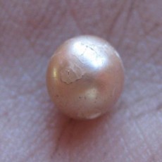 Mutiara Alami Berumur 2 Ribu Tahun Ditemukan di Pantai Australia