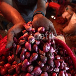 Pemerintah Segera Buka Keran Impor Bawang Merah dan Cabai