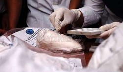 Sindikat Narkoba Incar Perempuan Indonesia Jadi Kurir Narkoba via Medsos