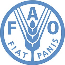 Indonesia Ajak FAO Kerjasama Pangan dan Kemaritiman