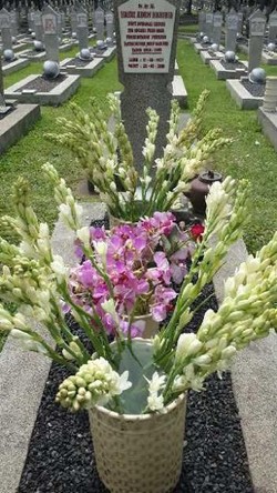 Makam Ainun dan Bunga yang Selalu Bersemi dari Cinta BJ Habibie