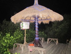 Makan Enak di Hutan Bakau Probolinggo