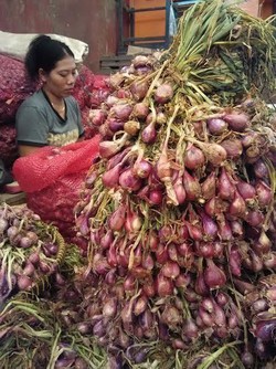 Setelah Jakarta, Bawang Merah Impor Ilegal Masuk Pekalongan