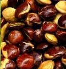 Harga Jengkol Tembus Rp 70.000/Kg, Ini Penyebabnya