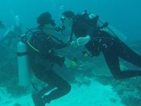 Ini Potret Kemesraan Luna Maya dan Pacar di Laut Flores
