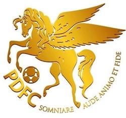 Liga Tak Pernah Profesional, Kondisi Saat Ini pun Tak Jelas, Pro Duta FC Bubar