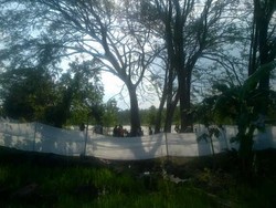 Peri Roro Setyowati Melahirkan, Ratusan Warga Datangi Hutan Ngawi