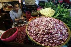 Ini yang Ditakutkan Petani Bila Pemerintah Impor Bawang Merah