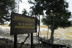 Alas Purwo, Hutan Mistis & Pantai Cantik Banyuwangi