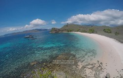Gaharnya Si Naga Purba & Cantiknya Pantai di Pulau Komodo