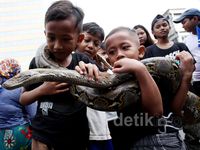 Warga Bawa Hewan Peliharaan di CFD