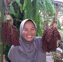 Tinggalkan Beras, Pesantren Ini Beralih Konsumsi Sorgum