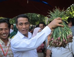 Mentan Amran: Stok Bawang Merah Aman, Tak Perlu Impor
