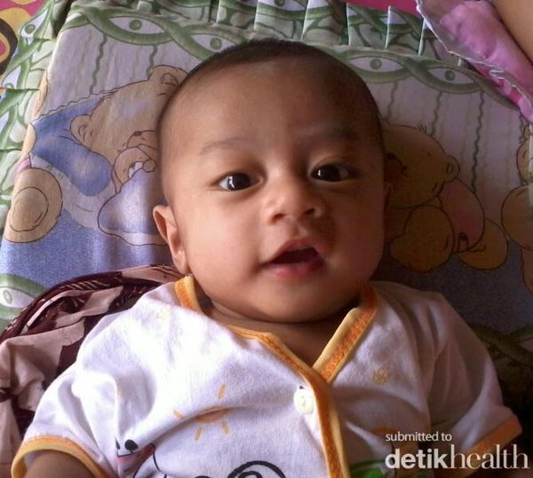 Faqih Al-arif Billah