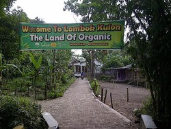 Menikmati Desa Wisata Organik Bondowoso
