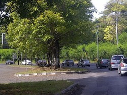 Lanjutkan Perjalanan Probolinggo-Jember, Risers Pemanasan dan Berdoa