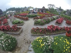 Kebun Begonia, Tempat Asyik Buat Kencan di Lembang