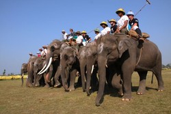 Seru! Ada Turnamen Polo Gajah di Nepal