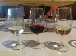 Belajar Tentang Wine di Hunter Valley, Australia