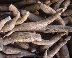 RI Impor Singkong dari Masa ke Masa