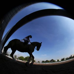 Sumbang Dua Emas, Berkuda Harapkan Dukungan dan Perhatian Lebih dari Pemerintah