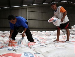 Bos Bulog Berencana Jual Gudang-gudang Beras