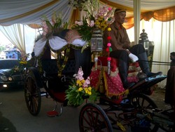 Selvi Naik Kereta Kuda Milik Jokowi ke Lokasi Ijab Kabul