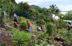 Wih, Ada Tradisi Nyadran di New Caledonia